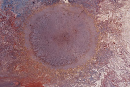 When Your Tummy Thinks It’s a Theme Park: Navigating US Digestive Health in Bensalem