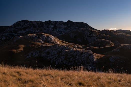 Unlocking Your Next Home Project: A Peek at Lowe’s Home Improvement Rock Hill Photos